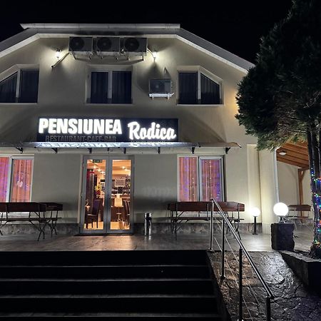 Pensiunea Rodica Nădlac Exteriér fotografie