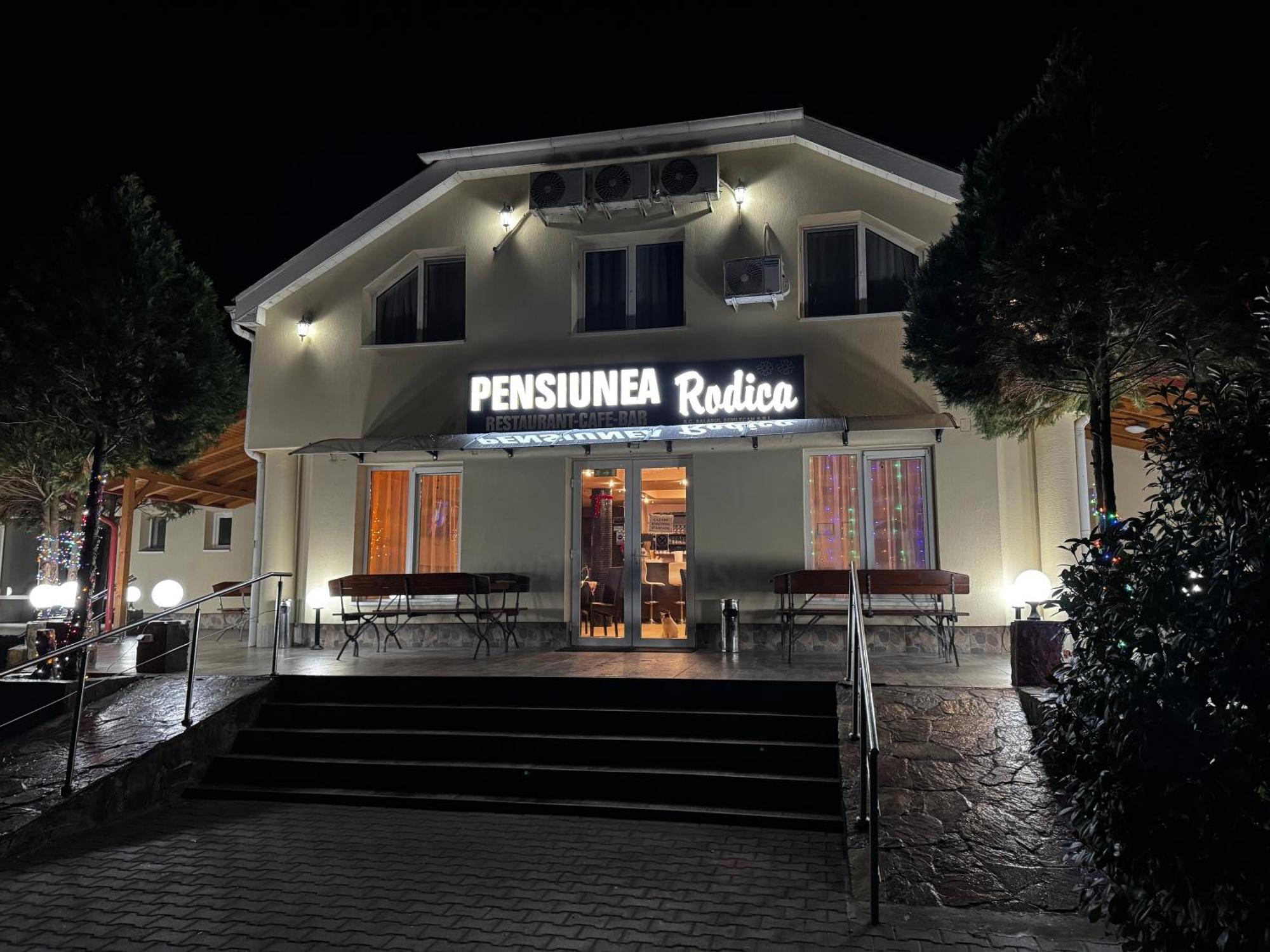 Pensiunea Rodica Nădlac Exteriér fotografie